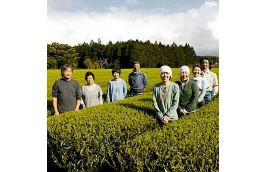 Jardin de thé BIO de la famille Watanabe